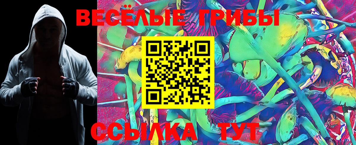 Галлюциногенные грибы Cubensis  Галлюциногенные грибы Cubensis  Вход с VPN  Озёры 